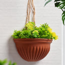 Tyidzon Semi-Circular Hanging Planters for Indoor Outdoor Plants, Wall Mount Flower Pot Holder Hanger for Indoor and Outdoor Use Brown