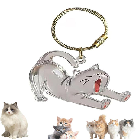Keychain - Pet Hair - Storage Box - Pendants - Capsule Toy - Dog Hair Capsule - Memorial Pendant - Bag Keychain - Pendants - Memory Capsule Pendant - Cat Hair Collection - DIY - 1 Piece
