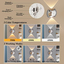 Indoor Wall Lamp - Night Light with Motion Sensor - Wireless LED Wall Light - Rechargeable Wall Lamp - Stair Lighting - Closet Lighting - Bedroom Lamp - USB Rechargeable - Magnetic - Warm White Light - White - 1 Piece