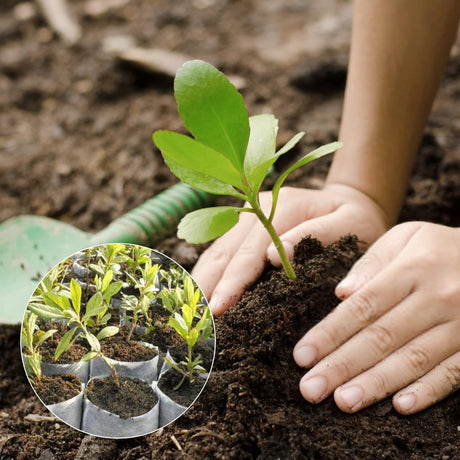 Grow Bags - Gardening - Grow Pots - Vegetable Garden - Seedlings - Plant Bags - Non-woven Grow Bags - Growing Set - Breathable Fleece - Plant Pots - Garden - Sowing - Cuttings - Vegetables - Fruit - Plant Bag - Vegetable Gardening - Sustainable - White -