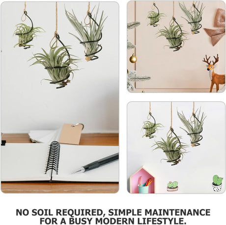 Tutuviw 6 Pcs Air Pineapple Pot Air Plant Hanger Holder,Plant Stands Hanging with Jute Ropes,Modern Plants Hanger Wall Metal Air Plants Stand,Air Plants Hook Air Shelf (Black Aluminum)