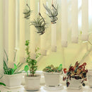 Tutuviw 6 Pcs Air Pineapple Pot Air Plant Hanger Holder,Plant Stands Hanging with Jute Ropes,Modern Plants Hanger Wall Metal Air Plants Stand,Air Plants Hook Air Shelf (Black Aluminum)