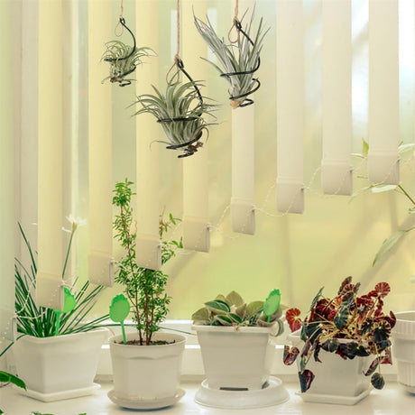 Tutuviw 6 Pcs Air Pineapple Pot Air Plant Hanger Holder,Plant Stands Hanging with Jute Ropes,Modern Plants Hanger Wall Metal Air Plants Stand,Air Plants Hook Air Shelf (Black Aluminum)