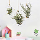 Tutuviw 6 Pcs Air Pineapple Pot Air Plant Hanger Holder,Plant Stands Hanging with Jute Ropes,Modern Plants Hanger Wall Metal Air Plants Stand,Air Plants Hook Air Shelf (Black Aluminum)