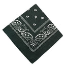 Darzheoy 22 inch Cotton Paisley Bandana Multi Colored Set Cowboy Bandana Head Scarf Double-sided for Men & Women Mint Green