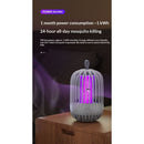 Indoor & Outdoor Rechargeable Fly Trap Mosquito Zapper with USB Power Supply, Powerful Electric Mosquito Trap Portable Dual-Function, Gray