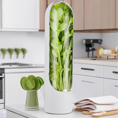 Herb Keeper for Refrigerator, Herb Saver for Refrigerator, Cilantro Container, Vegetable Preservation Bottle for Cilantro, Mint, Parsley, Asparagus, Keeps Greens Fresh for 2-3 Weeks (2 PCS box)
