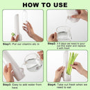 Herb Keeper for Refrigerator, Herb Saver for Refrigerator, Cilantro Container, Vegetable Preservation Bottle for Cilantro, Mint, Parsley, Asparagus, Keeps Greens Fresh for 2-3 Weeks (2 PCS box)