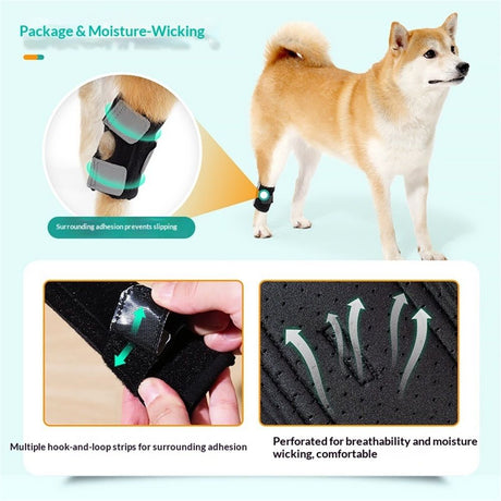 Dog Canine Braces for Rear Legs Supportive with Spring Inserts to Stabilize Dog Hind Legs, Help Dogs with Injuries, Sprains, Arthritis (M Pair)