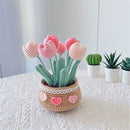 Crochet Kit for Beginners, Tulip Crochet Starter Kit Beginner for Complete Beginners Adults, Crocheting Knitting Kit