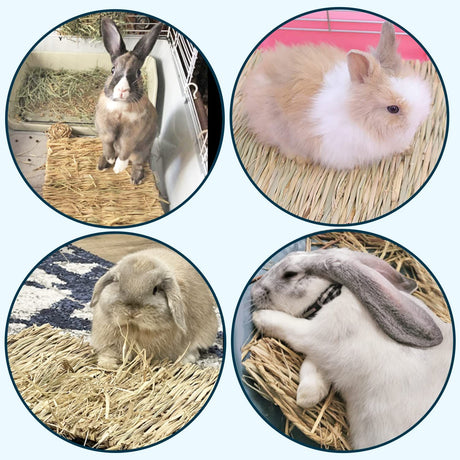 2pcs Woven Grass Mat - All Natural Chewable Grass Mat for Small Pets  Pig Foot Mat Rabbit Grass Nest Pet Supplies（small size）