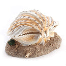 Aquarium Shell Decoration with Air Stone Bubble Tropical Clam Ornament  Aquarium Landscaping Decoration