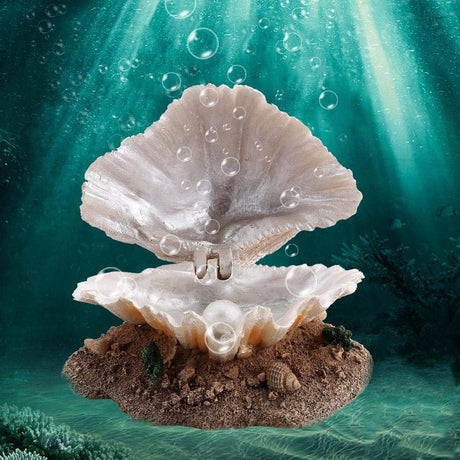 Aquarium Shell Decoration with Air Stone Bubble Tropical Clam Ornament  Aquarium Landscaping Decoration