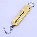 Pocket Spring Balance | max. 50 kg Fishing Scale with Hook Portable Mechanical Luggage Scale Weight Scale Auto-Off Function for Household, Shops, Luggage, Travel, Fishing, Outdoors