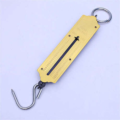 Pocket Spring Balance | max. 50 kg Fishing Scale with Hook Portable Mechanical Luggage Scale Weight Scale Auto-Off Function for Household, Shops, Luggage, Travel, Fishing, Outdoors