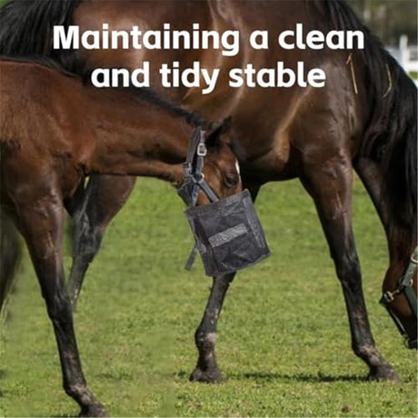 Horse Feed Bag Pack of 2, Feed Bags for Horses with Ventilation Mesh, Comfort Nose Pad Neck Pad, Adjustable Strap, Spill Proof Design for Independent Feeding Grain (M)