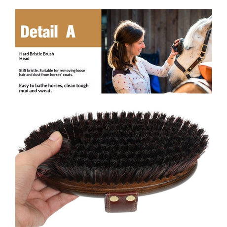 Class Handmade Equine Stiff Body Horse Brush. Professional Equine Grooming Tools. Effortlessly Removes Mud, Sweat and Dirt from Your Horses Hair.