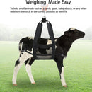 Calf Sling for Weighing Animals - Calf Scale Hanging Weight Scale Sling with Adjustable Straps for Weighing Calves Lambs Goats Baby Alpacas Newborn Livestock Dogs