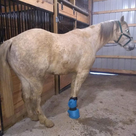 Easy Use Hoof Soaking Boot for Horse Soaker Bag Equine Soaking Boot Hooves Care Treatment Bucket Soaker Sack 3 Elastic Bands（32*4）