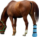 Easy Use Hoof Soaking Boot for Horse Soaker Bag Equine Soaking Boot Hooves Care Treatment Bucket Soaker Sack 3 Elastic Bands（32*4）