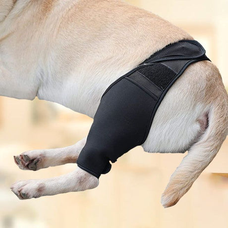 Dog Recovery Socks - Waterproof Paw Protectors with Non-Slip Sole | Post-Surgery Boots for Wound Protection | Anti-Licking Sleeves for Dogs (Black, L)