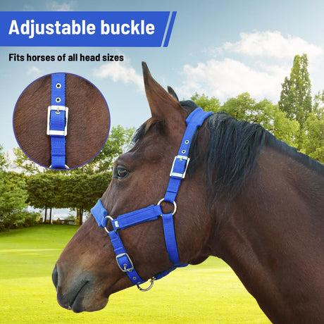 Adjustable Cow Halter with Lead Rope - All-Purpose Livestock Halter for Cattle, Calf, Donkey, Goat, and Miniature Horse (Blue,large size)