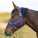 Adjustable Cow Halter with Lead Rope - All-Purpose Livestock Halter for Cattle, Calf, Donkey, Goat, and Miniature Horse (Blue,large size)