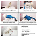 Pet Dog Dryer, Protable Fast Easy Blower Professional Tool Hair Pet Low Noise Puff and Fluff Bath Grooming - L