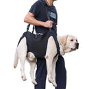 Full Body Lift Harness for Dogs,Canine Support Rehabilitation Dog Carrier Slings with Handles,Adjustable Lifting Straps Full Body Dog Lifting Harness (M)