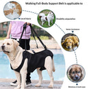 Full Body Lift Harness for Dogs,Canine Support Rehabilitation Dog Carrier Slings with Handles,Adjustable Lifting Straps Full Body Dog Lifting Harness (M)