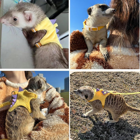 Ferret Harness and Leash Set Small Animals Vest Harness Baby Rabbit Guinea Pig Teacup Chihuahua Mouse and Other Small pet.(Yellow )