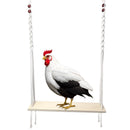 Chicken Swing Wooden Chicken Hanging Swing Toys Climbing Stand Ladder Training Toys Perch Ladder for Hens Medium Large Bird Parrot
