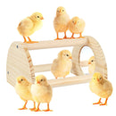 Large Wood Pine Chick Perch, Wooden Perch Chicks Toys for Coop and Brooder, Strong Chicken Jungle Gym Roosting Bar for Baby Chicks with a mirror