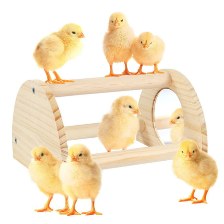 Large Wood Pine Chick Perch, Wooden Perch Chicks Toys for Coop and Brooder, Strong Chicken Jungle Gym Roosting Bar for Baby Chicks with a mirror