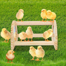 Large Wood Pine Chick Perch, Wooden Perch Chicks Toys for Coop and Brooder, Strong Chicken Jungle Gym Roosting Bar for Baby Chicks with a mirror