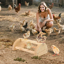 Large Wood Pine Chick Perch, Wooden Perch Chicks Toys for Coop and Brooder, Strong Chicken Jungle Gym Roosting Bar for Baby Chicks with a mirror