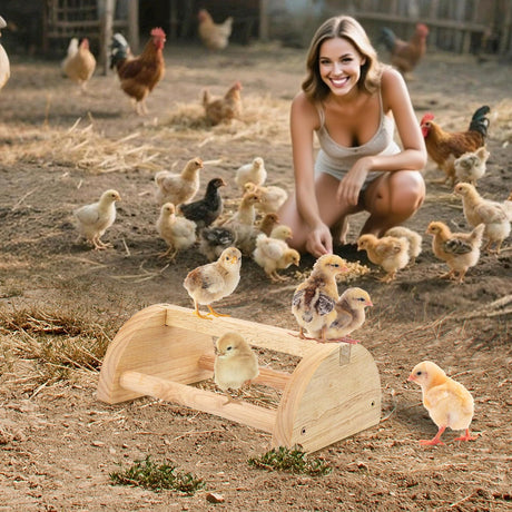 Large Wood Pine Chick Perch, Wooden Perch Chicks Toys for Coop and Brooder, Strong Chicken Jungle Gym Roosting Bar for Baby Chicks with a mirror