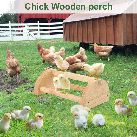 Large Wood Pine Chick Perch, Wooden Perch Chicks Toys for Coop and Brooder, Strong Chicken Jungle Gym Roosting Bar for Baby Chicks with a mirror
