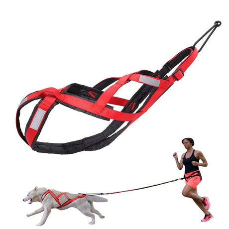 Dog Pulling Harness (XL, red)  Back Mushing Husky Harness for Sled Exercise, Pet Sledding, Bikejoring, Skijoring, Running, Scootering, for Average Sized Dog