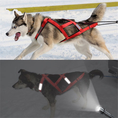 Dog Pulling Harness (XL, red)  Back Mushing Husky Harness for Sled Exercise, Pet Sledding, Bikejoring, Skijoring, Running, Scootering, for Average Sized Dog
