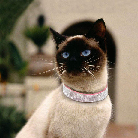 Bling Diamond Dog Collar for Females Girls, Fancy Sparkly Crystal Rhinestones,Reflective Stripe,Suit small  Dogs (rose pink XS)