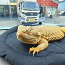 Bearded Dragon Bed Soft Mat with Suction Cup Bearded Dragon Sleep Cushion Washable for Travel Reptile Tank Accessories Small Animal Carrier for Lizard Leopard Gecko (Black)