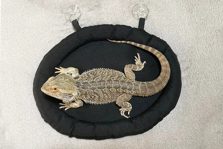 Bearded Dragon Bed Soft Mat with Suction Cup Bearded Dragon Sleep Cushion Washable for Travel Reptile Tank Accessories Small Animal Carrier for Lizard Leopard Gecko (Black)