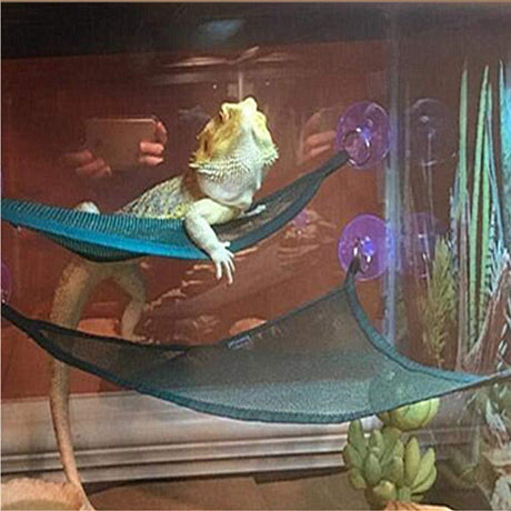 4 Pack of Reptile Hammock Set, Breathable Mesh Lizard Hammock, Lounger & Ladder Accessories Set for Large & Small Bearded Dragons Lizards or Snakes（33x33x33cm black+green）