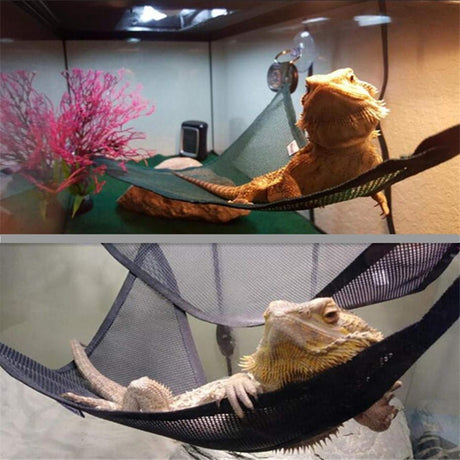 4 Pack of Reptile Hammock Set, Breathable Mesh Lizard Hammock, Lounger & Ladder Accessories Set for Large & Small Bearded Dragons Lizards or Snakes（33x33x33cm black+green）