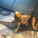 4 Pack of Reptile Hammock Set, Breathable Mesh Lizard Hammock, Lounger & Ladder Accessories Set for Large & Small Bearded Dragons Lizards or Snakes（33x33x33cm black+green）