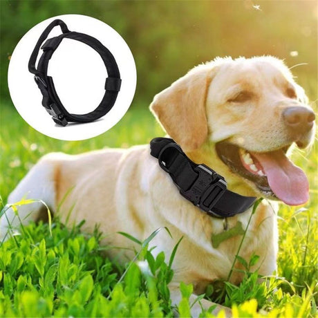 Nylon Dog Collar Adjustable Durable for Shepherd Outdoor Working Training Walking with Leash (XL, Black)