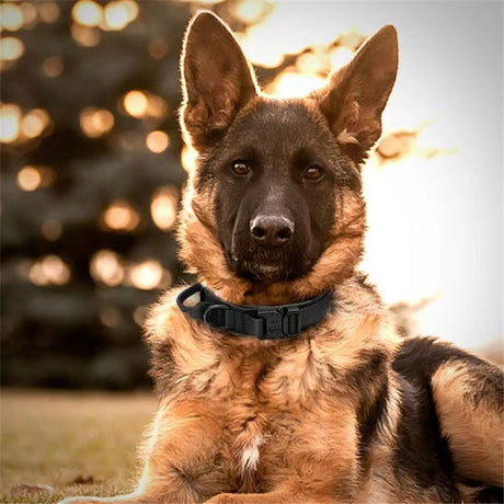 Nylon Dog Collar Adjustable Durable for Shepherd Outdoor Working Training Walking with Leash (XL, Black)