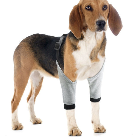 Dog Elbow Protector for Calluses, Recovery Suit for Front Legs, Cone Collar Alternative to Stop Licking Wounds, Cover Sleeve for Small Medium Large Dogs - Grey M