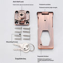 Heavy Duty Concealed Safety Hasp Lock, 2 PCS Hinge Keyed, Flexible Link,Steel+Zinc Alloy, Indoor & Outdoor Use